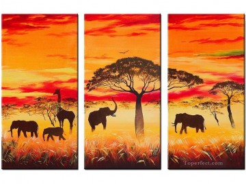 afriqueine - éléphants sous les arbres au coucher du soleil